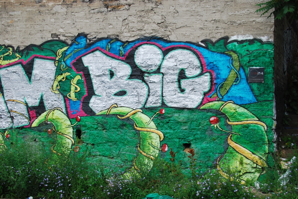 DSC_1699.JPG